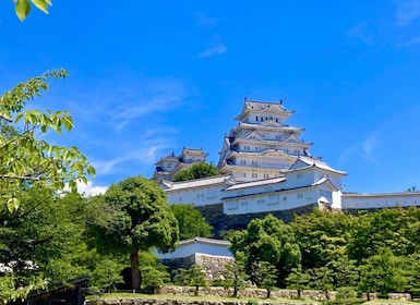 Osaka: Burg Himeji, Arima Onsen & Mt. Rokko 1-Tages-Bustour