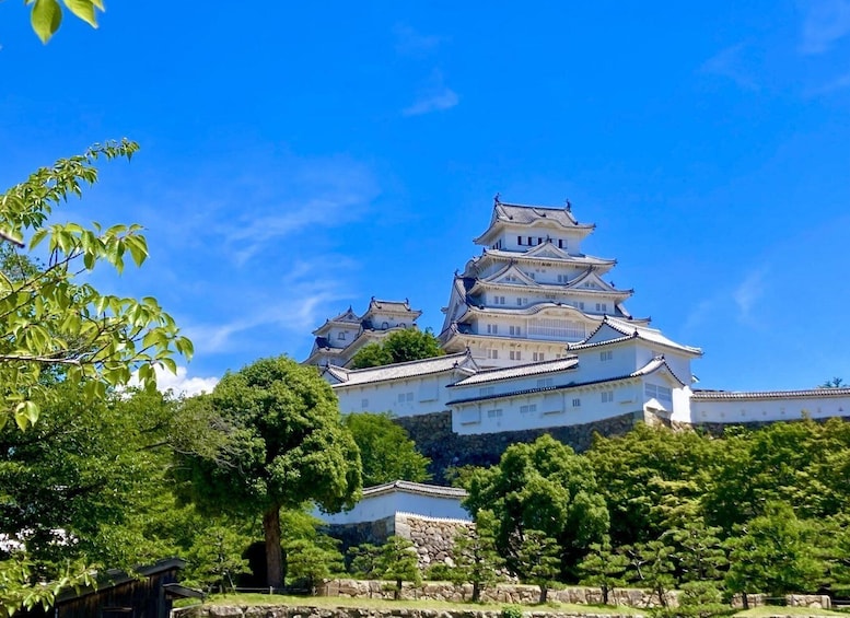 Picture 31 for Activity Osaka: Himeji Castle, Arima Onsen & Mt. Rokko 1-Day Bus Tour