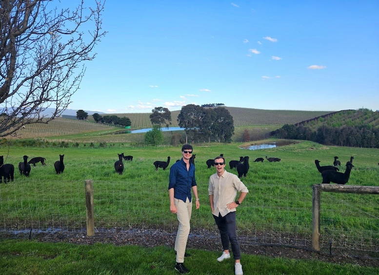 Picture 20 for Activity Melbourne: Yarra Valley Wine, Gin, and Chocolate Tour