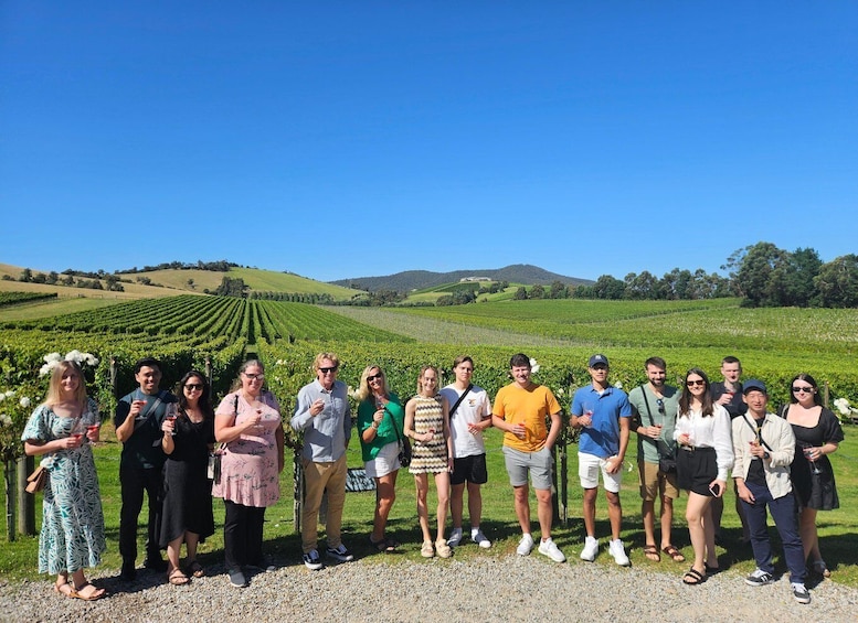 Picture 42 for Activity Melbourne: Yarra Valley Wine, Gin, and Chocolate Tour
