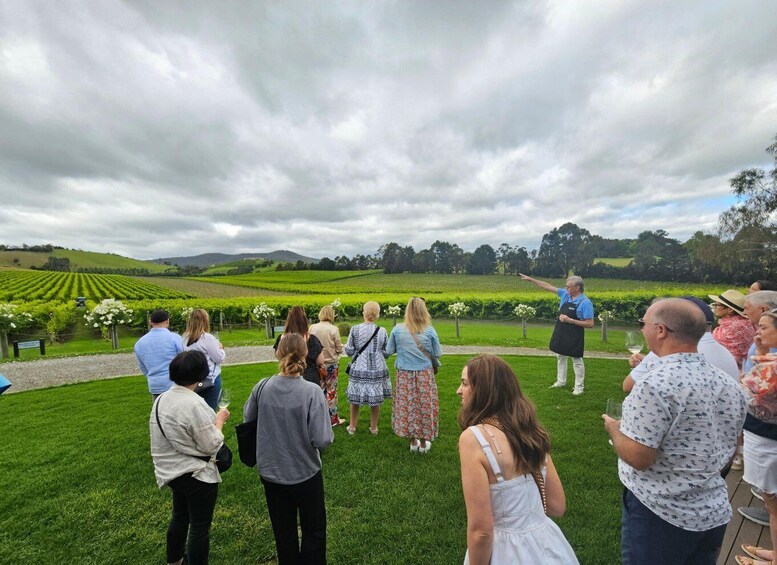 Picture 37 for Activity Melbourne: Yarra Valley Wine, Gin, and Chocolate Tour