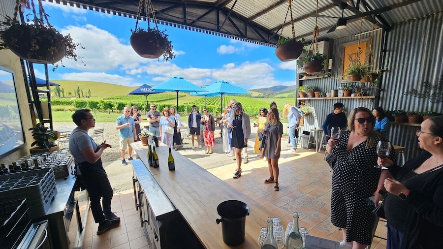 Melbourne: Yarra Valley Wine, Gin, and Chocolate Tour