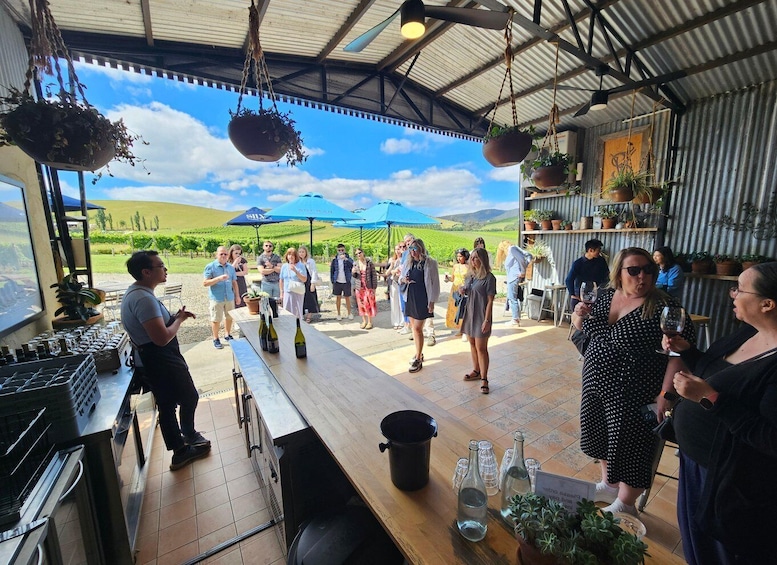 Melbourne: Yarra Valley Wine, Gin, and Chocolate Tour