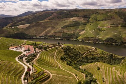 Quinta Nova: Vinomvisning og vinsmaking i 2 terroirs