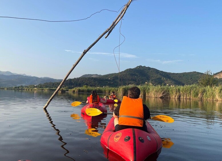 Picture 2 for Activity Lago di Massaciuccoli: tour in kayak con Aperitivo