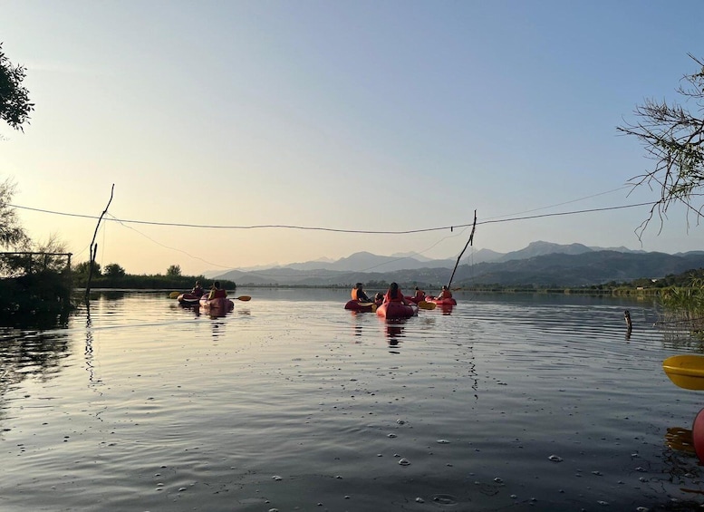 Picture 5 for Activity Lago di Massaciuccoli: tour in kayak con Aperitivo