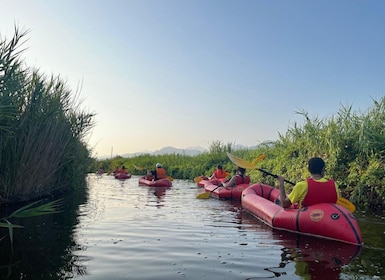 Lago di Massaciuccoli: tour in kayak con Aperitivo