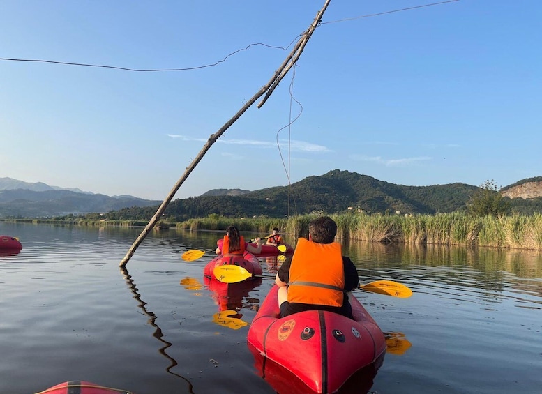 Picture 2 for Activity Lago di Massaciuccoli: tour in kayak con Aperitivo