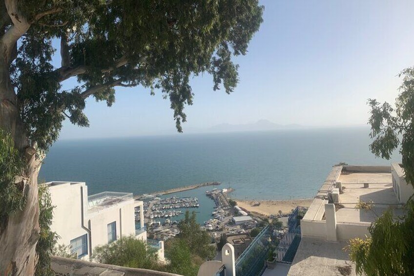 Explore the essentials of Tunis in a Private Half Day