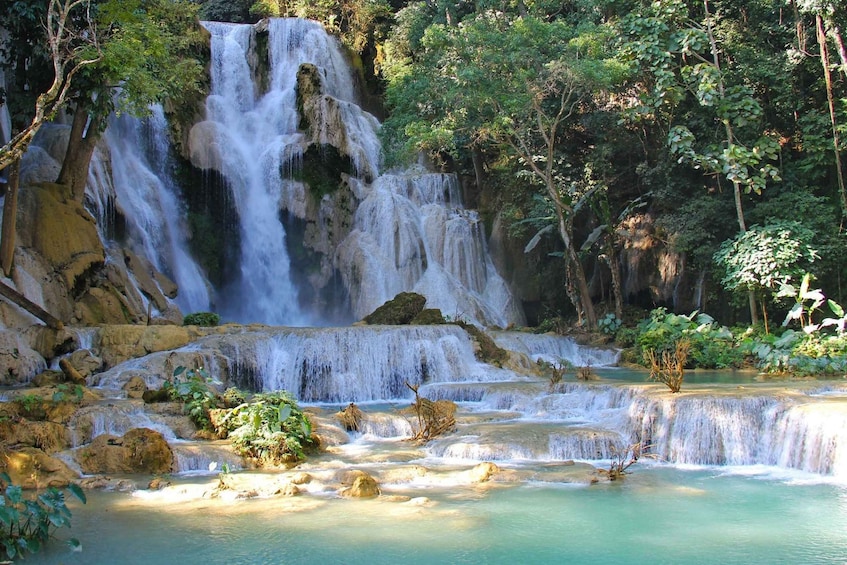 Picture 1 for Activity Luang Prabang Trekking LongLao to Kuang si falls full day