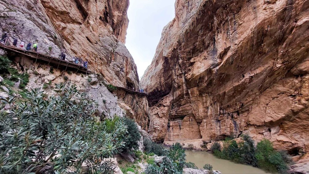 Picture 4 for Activity Caminito del Rey Day Trip