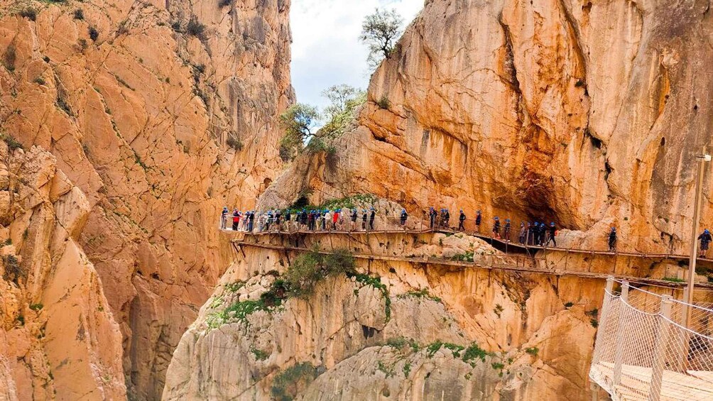 Picture 3 for Activity Caminito del Rey Day Trip