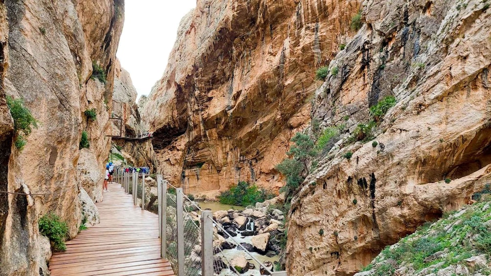 Picture 7 for Activity Caminito del Rey Day Trip