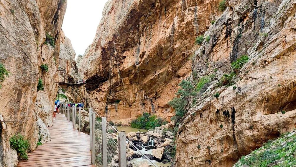 Picture 7 for Activity Caminito del Rey Day Trip