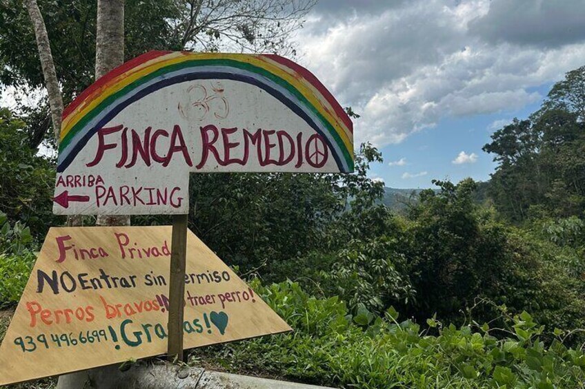 Llegamos a Finca Remedio!