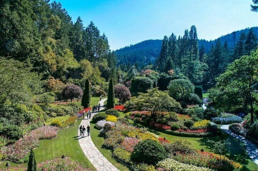 Butchart Gardens