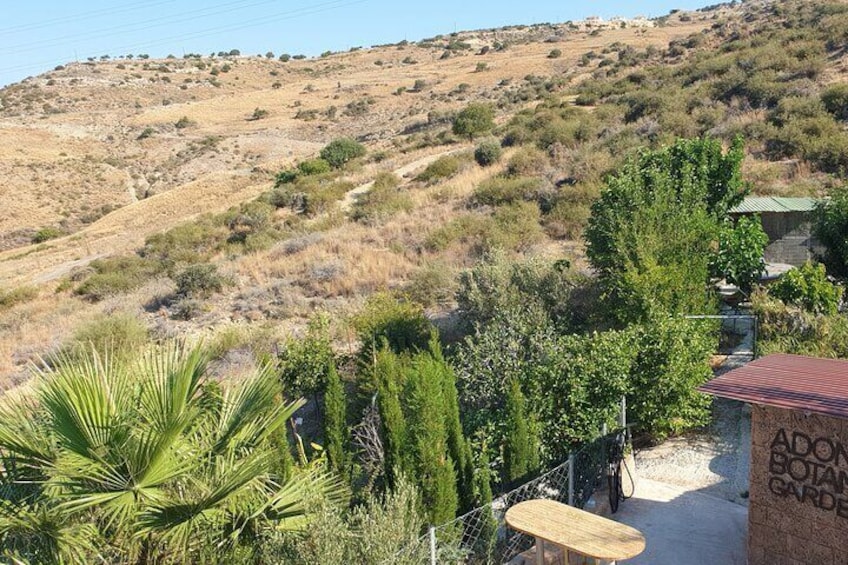 Panoramic view of the garden