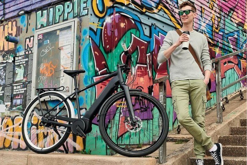 Amazing Vienna on Electric Bike