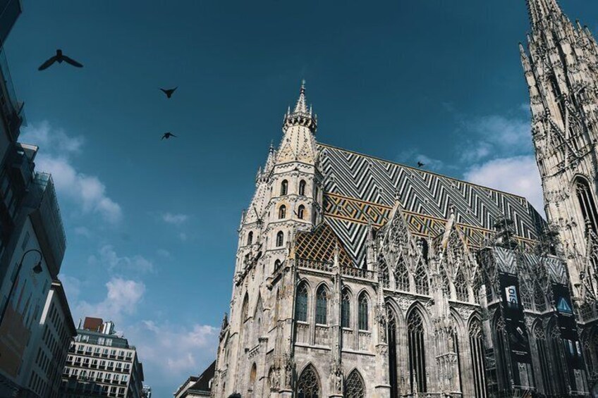 Amazing Vienna on Electric Bike