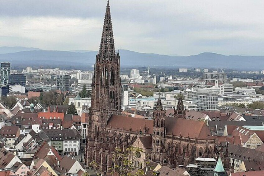 Freiburg Cathedral