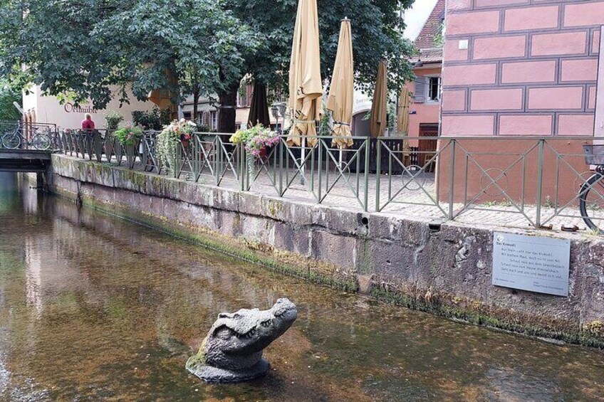 The Crocodile of Gerberau