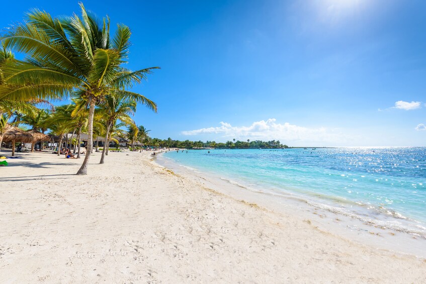 Akumal Reef & Turtle Sanctuary Snorkel