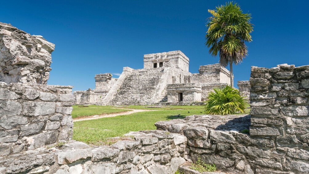 Tulum, cenote and swim with turtles in Akumal from Cancun
