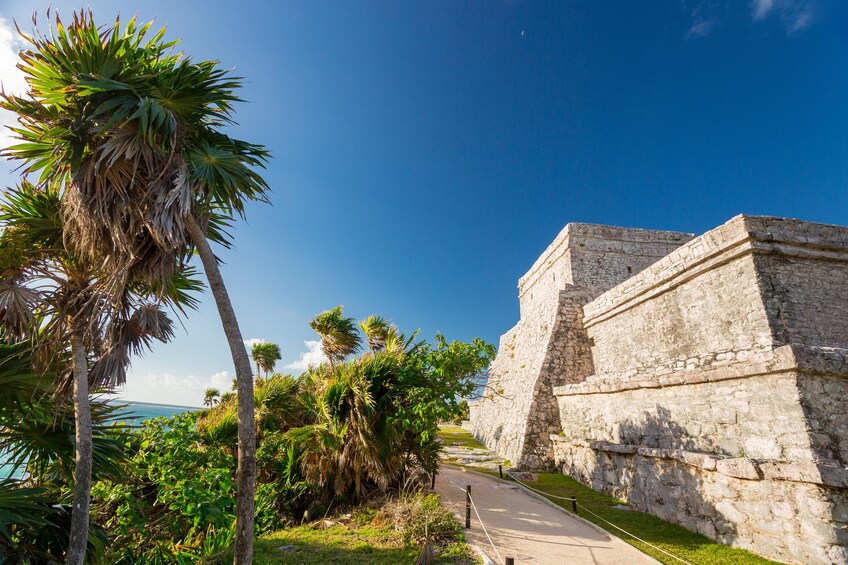 Tulum, cenote and swim with turtles in Akumal from Cancun