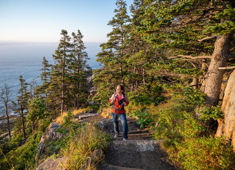Best of Bar Harbor w/ Thunder Hole and Acadia National Park