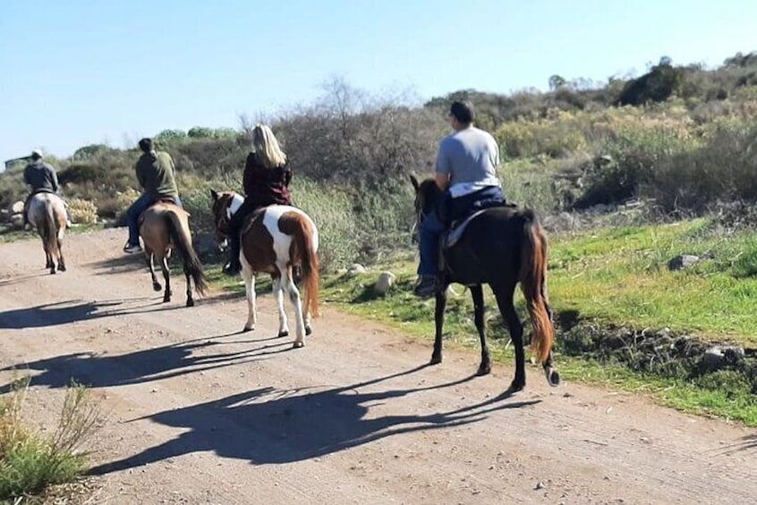 Desert Peaks on Horseback, Exploring Mountain Trails