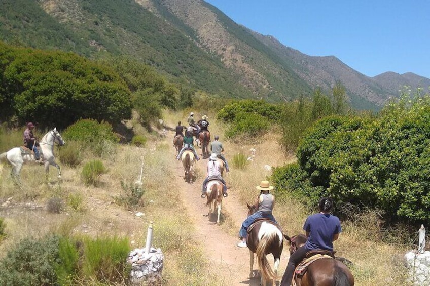 Desert Peaks on Horseback, Exploring Mountain Trails