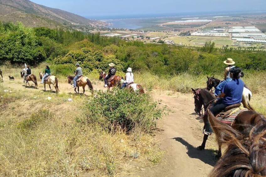 Desert Peaks on Horseback, Exploring Mountain Trails