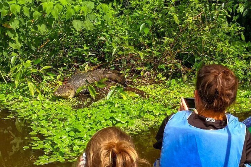 Half-Day Canoe and Hike in to Tortuguero National Park 