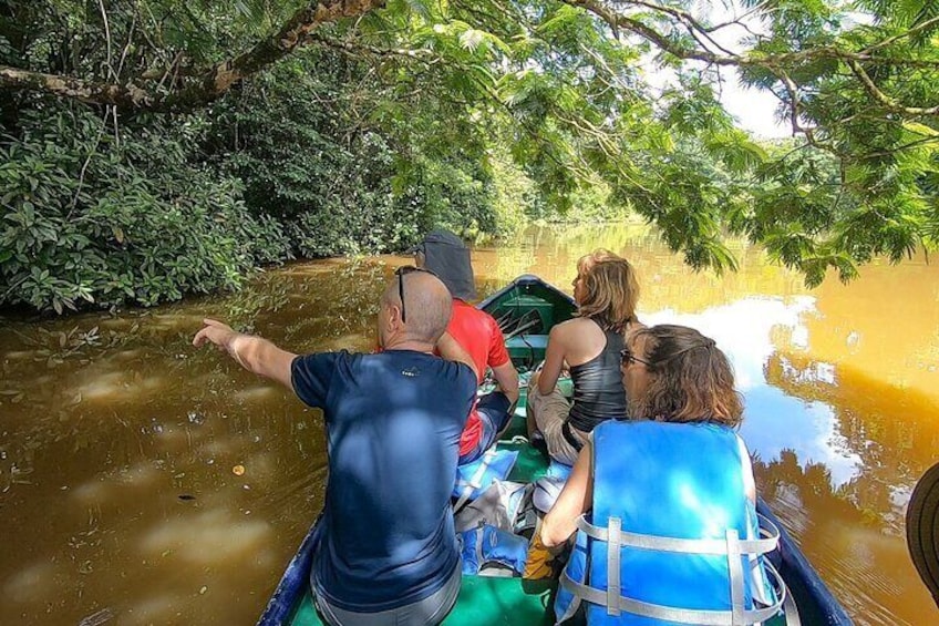 Half-Day Canoe and Hike in to Tortuguero National Park 