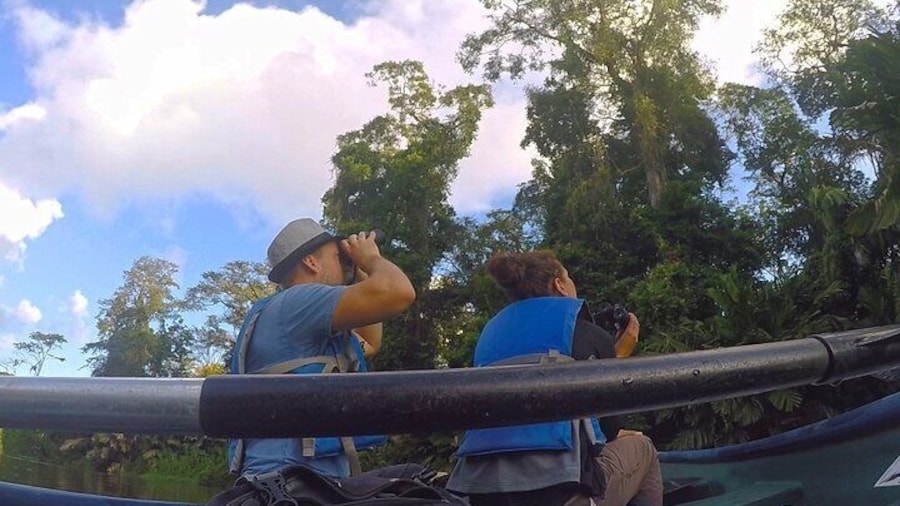 Half-Day / Canoe and Hike in to Tortuguero National Park