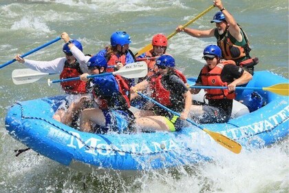 18 Meilen, 6 Stunden voller Spaß auf dem Yellowstone River mit Mittagessen!