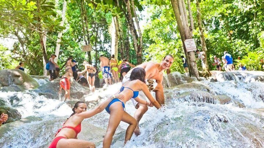 Dunnâs River Falls Tour with Transfers from Montego Bay