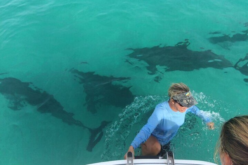 Capt Ally getting on the Mrs Marie when a pod of bottle nose dolphins dropped by