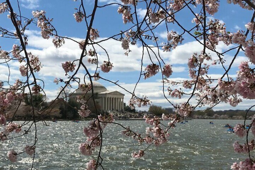 Seasonal favorites include the cherry blossoms - Two Wheels DC can include cherry blossom stops that aren't the typical tidal basin or national mall as well!