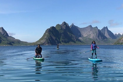 Guided SUP Tour in Reine Lofoten - 3,5 hours