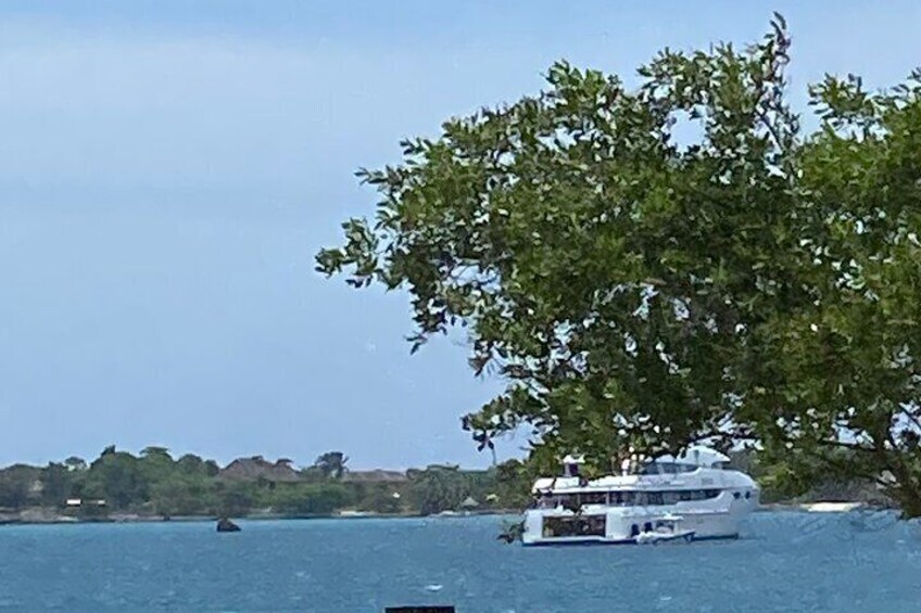 4 Hours Party Boat Catamaran Cruise in Negril