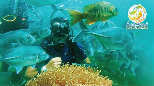 Langkawi Marine Park