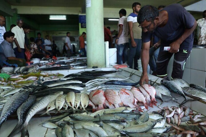 Local Fish Market
