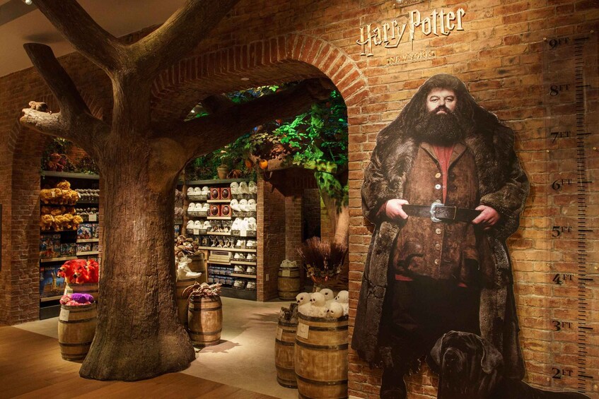 Picture 8 for Activity NYC: Harry Potter New York Experience Packages