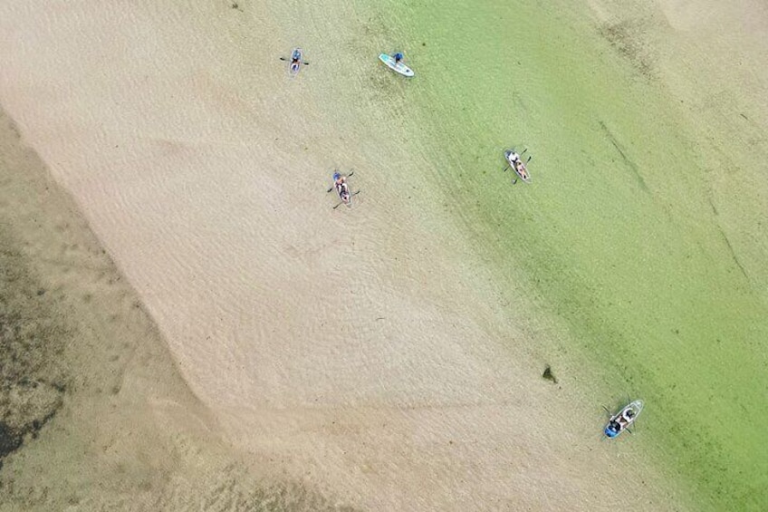 Paddle a clear kayak through the mangroves to the sand beaches of Robinson Preserve! 