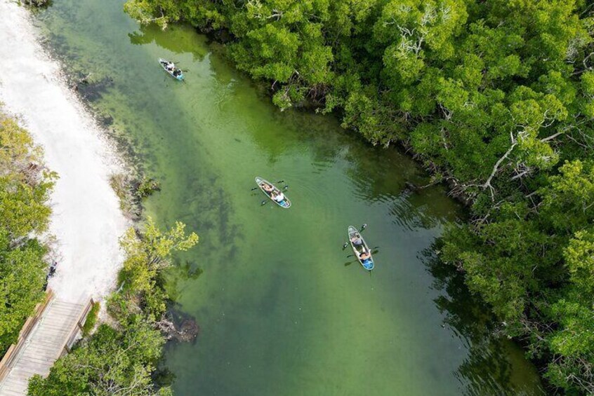 Clear Kayak Ecotour at Robinson Preserve in Bradenton, Florida 