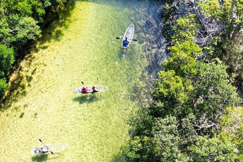Clear Kayak Ecotour at Robinson Preserve in Bradenton, Florida 