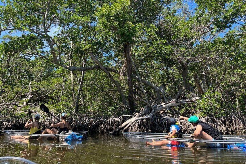 2 Hours and 30 minutes Clear Kayak Tour in Robinson Preserve