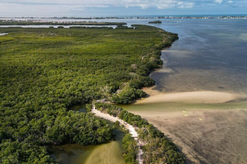 Clear Kayak Ecotour at Robinson Preserve in Bradenton, Florida 