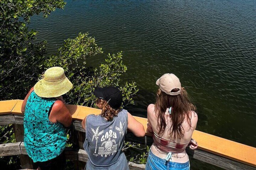 2 Hours and 30 minutes Clear Kayak Tour in Robinson Preserve